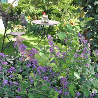 Holiday organic farm Hof zu Steinern riding