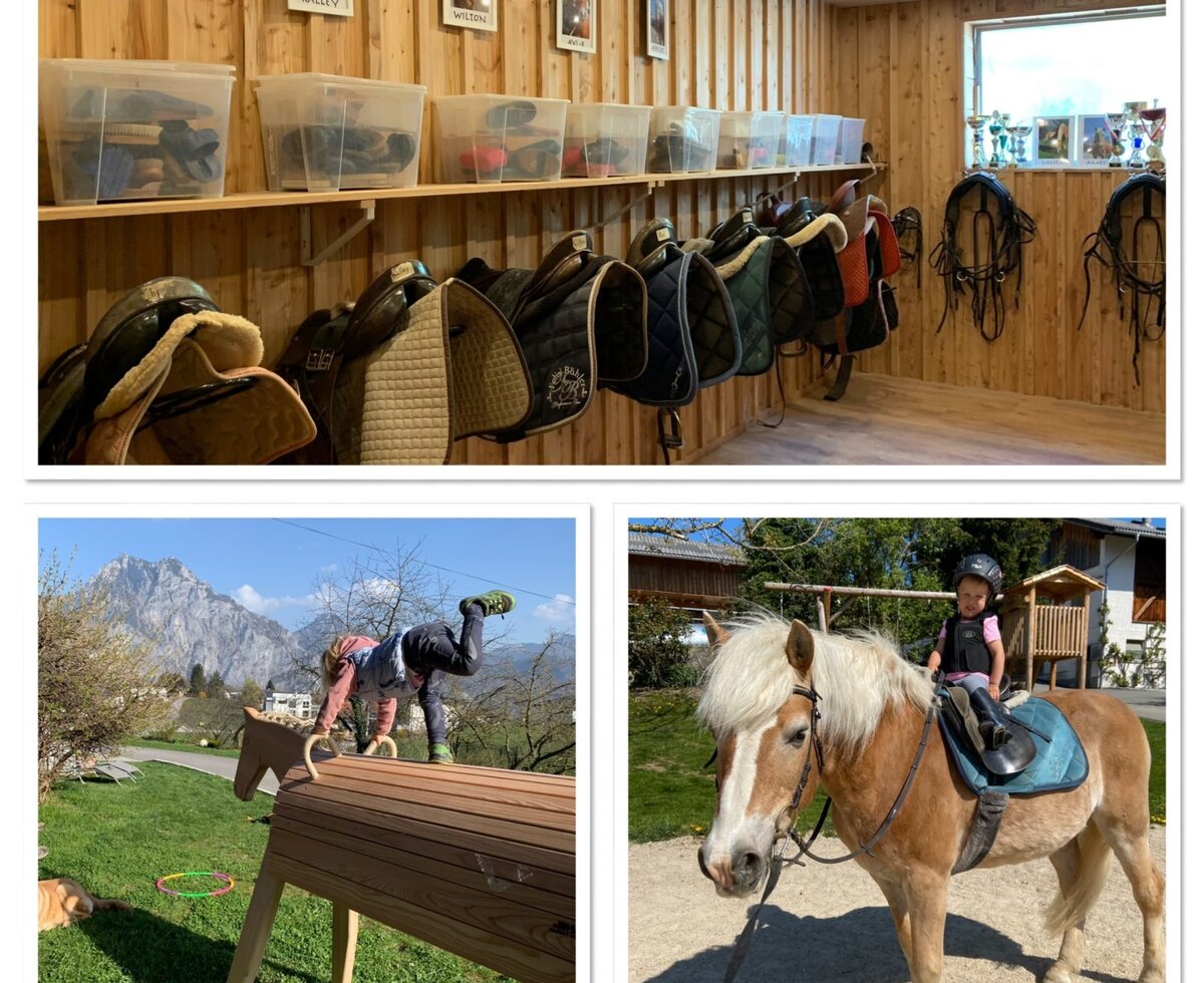 Horses.. Horses...Horses..