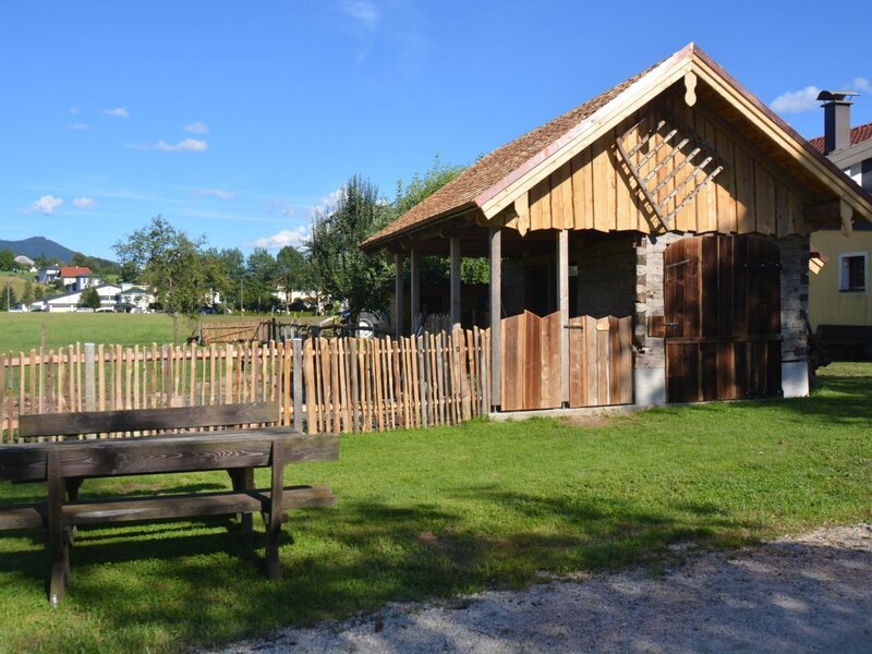 Petting zoo, pony, donkey, sheep, rabbits