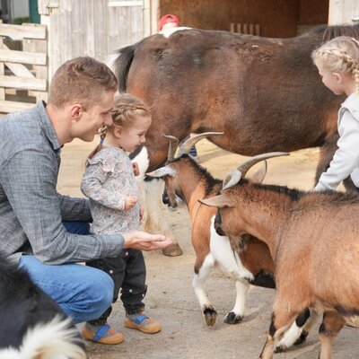 A family-friendly experience at the farmhouse, offering close encounters with friendly goats and ponies.