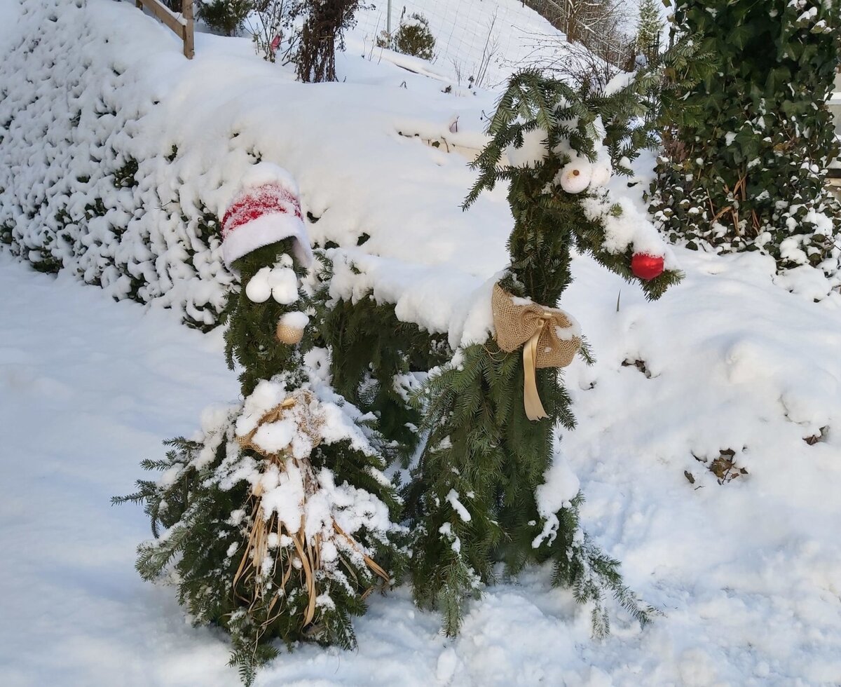Winter decoration
