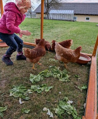 Anna feeds the chickens at Lohnerhof and experiences authentic country life up close.