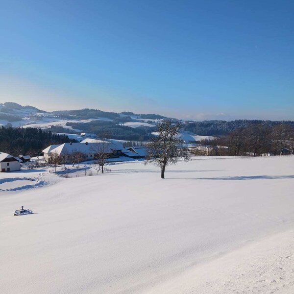 Snow-covered winter landscape on Nussbaumerhof