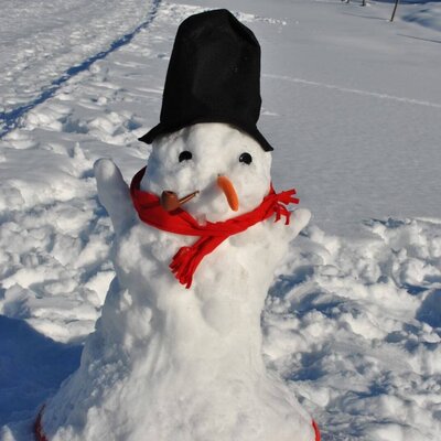 A snowman wearing a black top hat, red scarf, and pipe stands in the snow, suggesting winter activities available at the farm house.