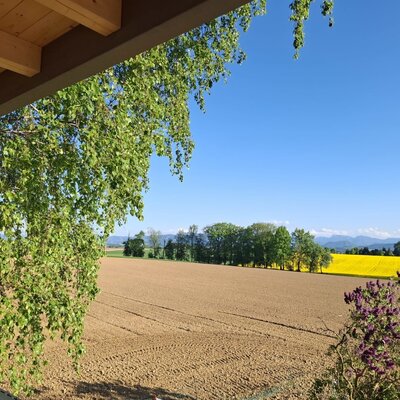 View from the holiday home across a tilled field and a yellow rapeseed field towards mountains under a blue sky.