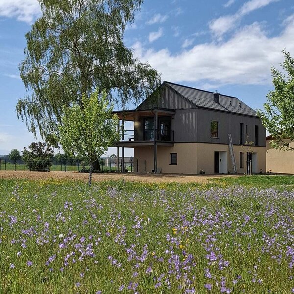 The modern holiday home with a balcony, surrounded by a flower meadow and a large tree.