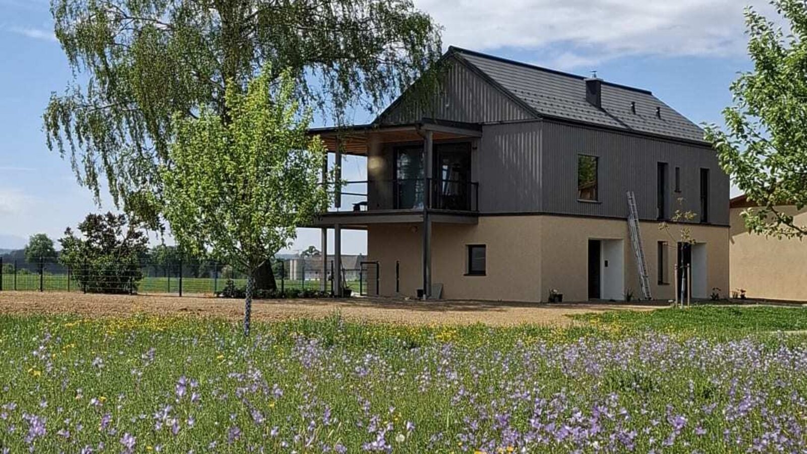 The modern holiday home with a balcony, surrounded by a flower meadow and a large tree.