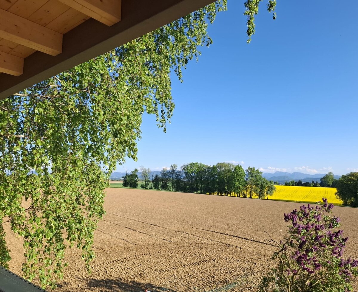View from the holiday home across a tilled field and a yellow rapeseed field towards mountains under a blue sky.
