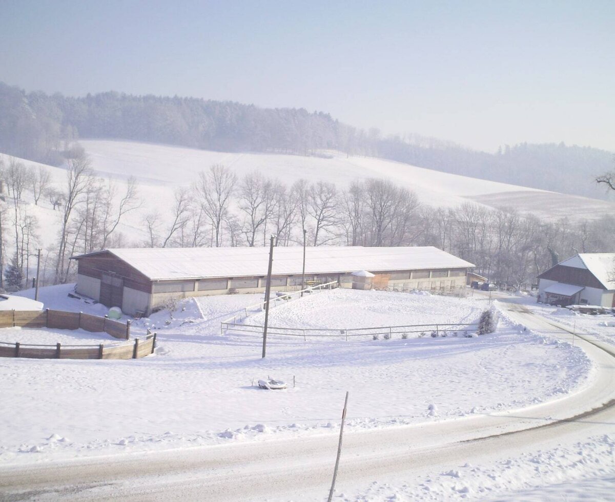 Winter at the Farm