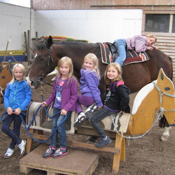 Equestrian pedagogical support