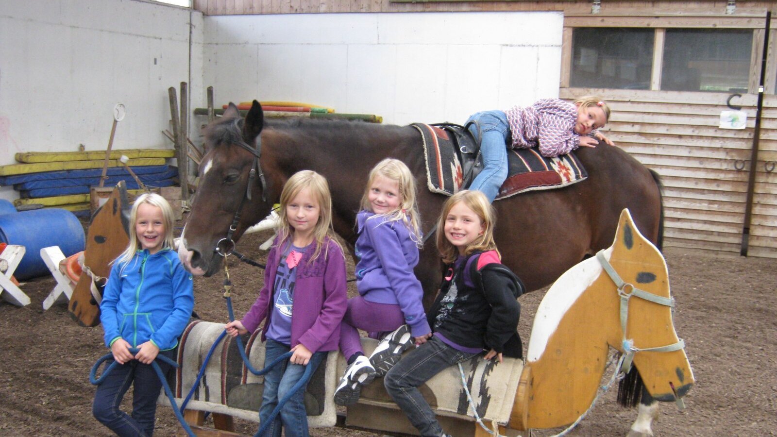 Equestrian pedagogical support