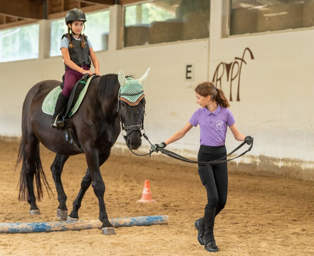 The farmhouse's inviting indoor riding arena offers wonderful opportunities for horse riding lessons and activities.
