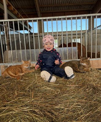 A child playing with two cats on hay in a barn at the farmhouse.