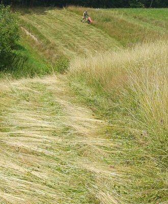A person mowing grass on the farmhouse field.