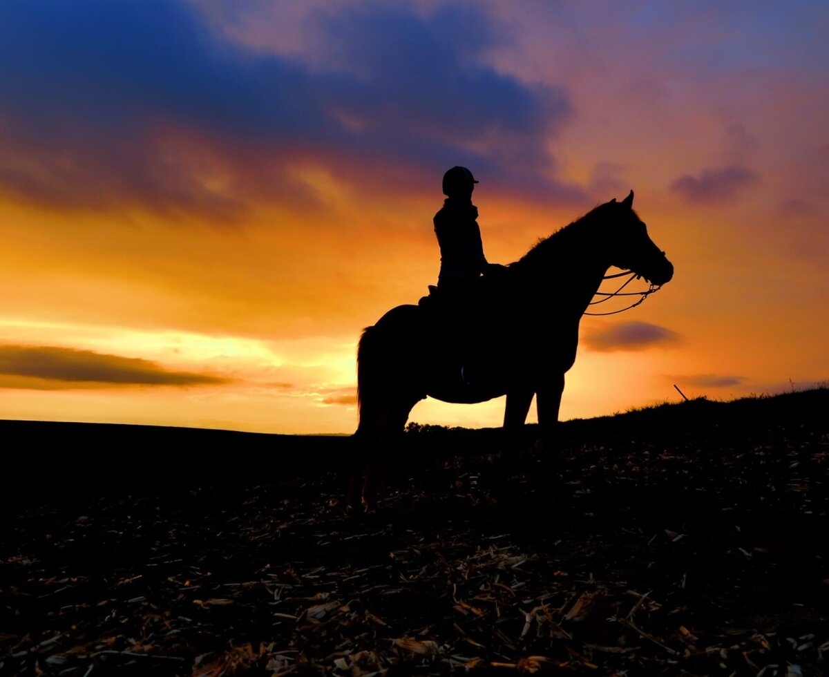 An atmospheric silhouette of a horse and rider against a golden sunset at the farmhouse.