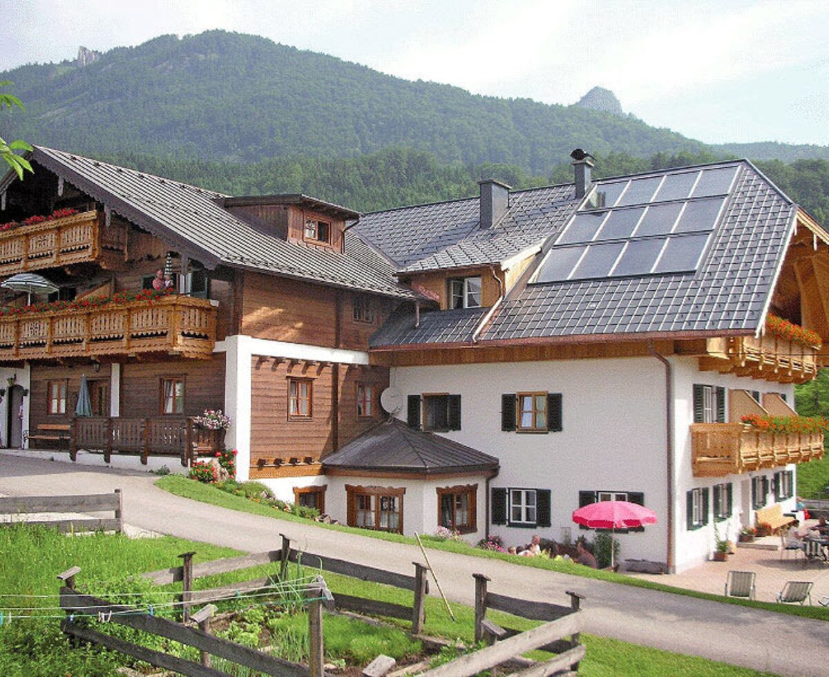 Our farm in the spring