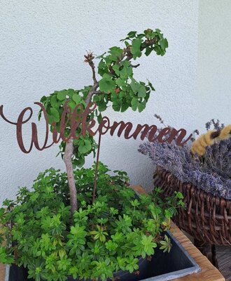 An inviting welcome sign nestled in green plants at the entrance