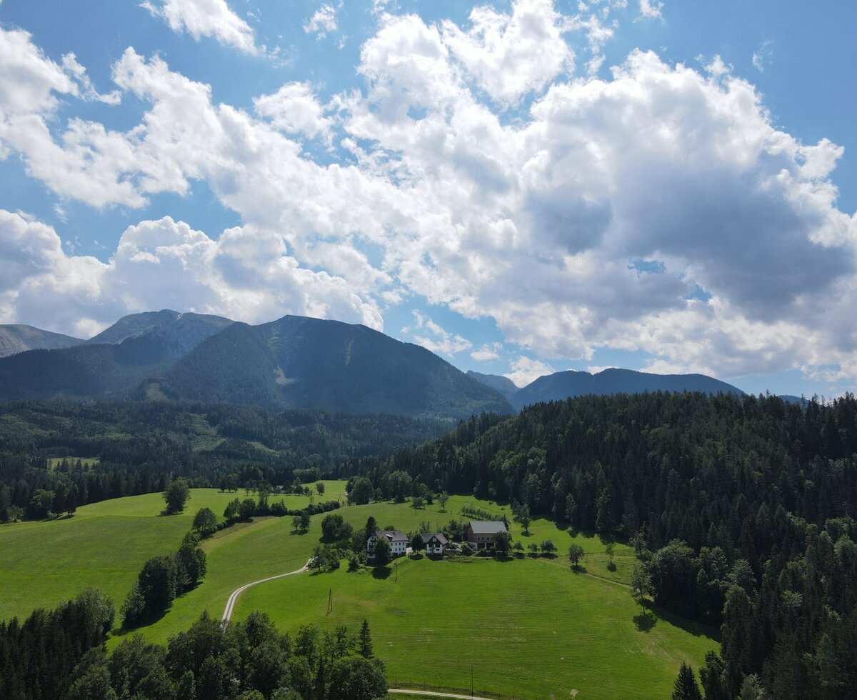Organic Farm Rotbuchner