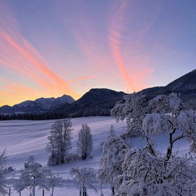 Winter landscape with snow-covered fruit trees, fields, and mountains at sunrise