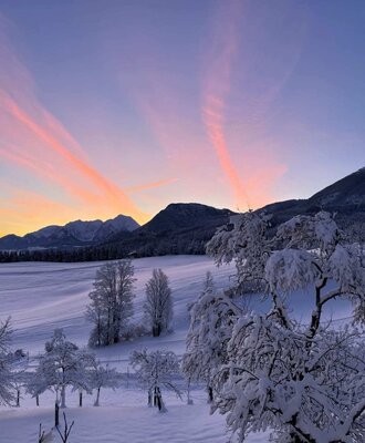 Winter landscape with snow-covered fruit trees, fields, and mountains at sunrise