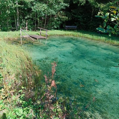 Our natural swimming pond with fresh mountain water.