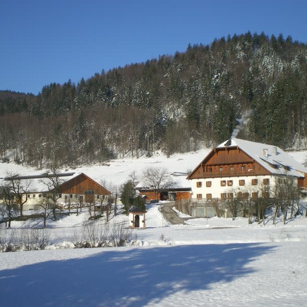 Winter Winter
