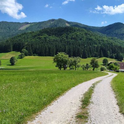 The access road to Biohof Grubbauer, surrounded by green meadows and forested mountains.
