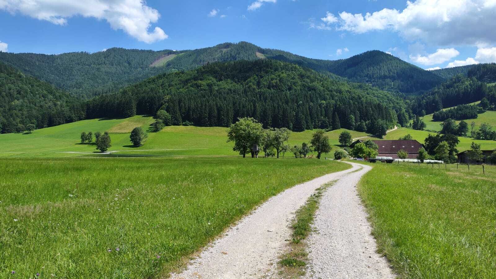 The access road to Biohof Grubbauer, surrounded by green meadows and forested mountains.