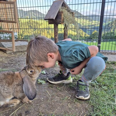 A child interacts closely with a rabbit at the Farm House's animal enclosure, featuring mountain views.