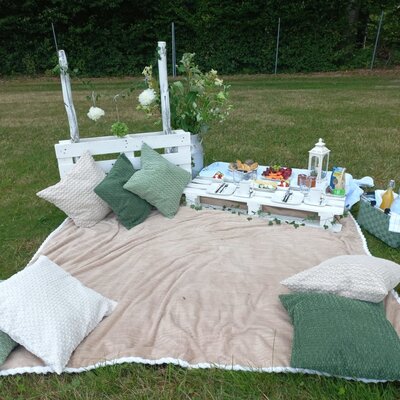 Picnic arrangement in the garden of the Bed and Breakfast, featuring a blanket, pillows, and a table with food and drinks.
