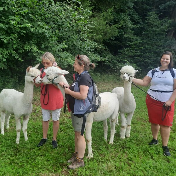 Guests on an alpaca hike, one of the special experiences offered at Sweet Home Alpacas.
