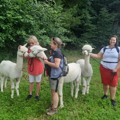 Guests on an alpaca hike, one of the special experiences offered at Sweet Home Alpacas.