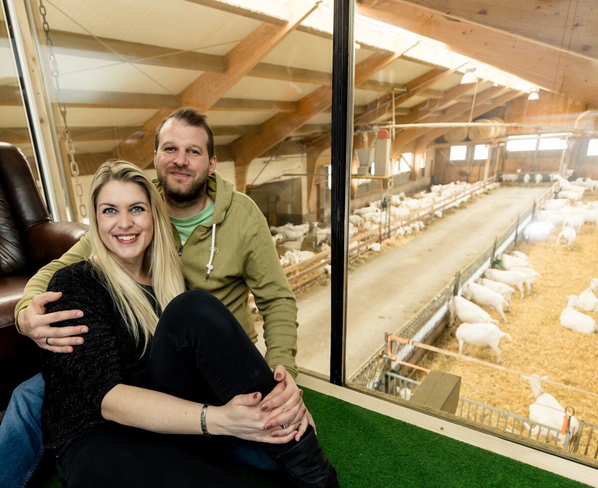 The Farm House features a glass-enclosed observation area, offering views directly into the barn with its resident goats.