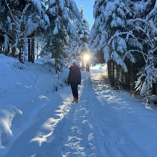 A snowy hiking trail through a sunlit forest, representing outdoor activities available near the Farm House.