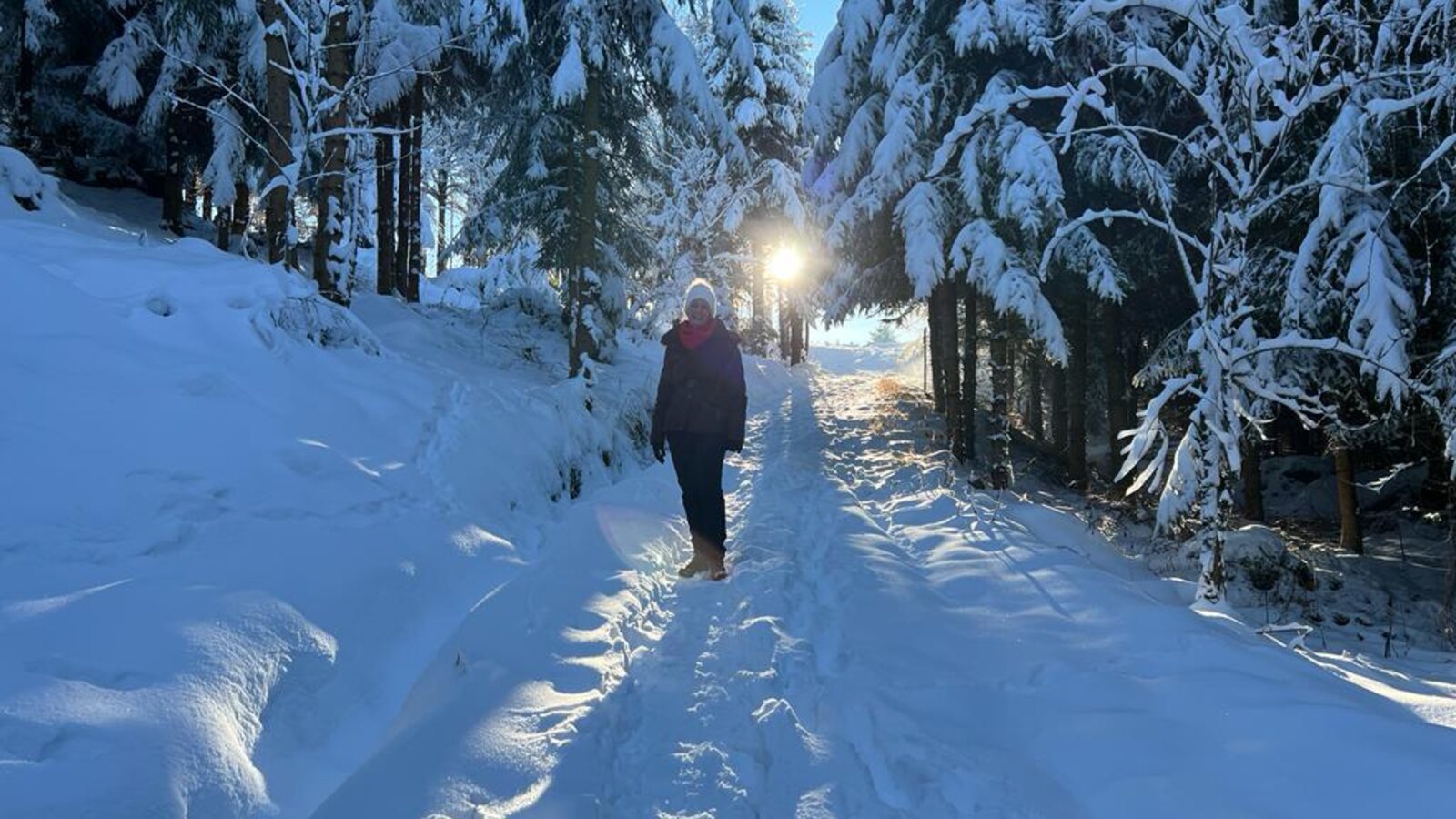 A snowy hiking trail through a sunlit forest, representing outdoor activities available near the Farm House.