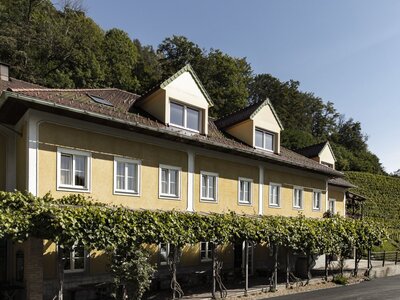 Weingarten Haselgraben in Kirchschlag bei Linz, Mühlviertel | © Urlaub am Bauernhof Oberösterreich / Robert Josipovic Photography