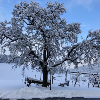 Playground in winter