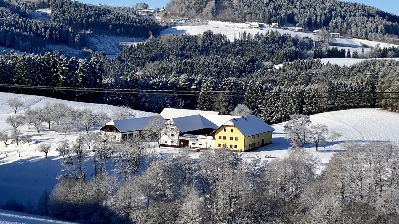 Little farm in the east