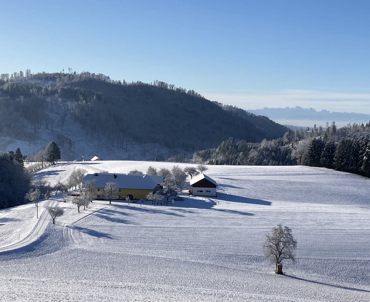 Mühlviertel Dreiseithof north view