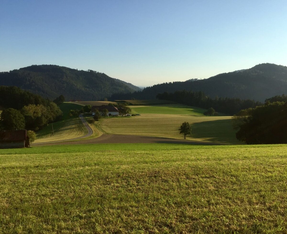 A picturesque view of the farmhouse set amidst rolling green hills and wide meadows.