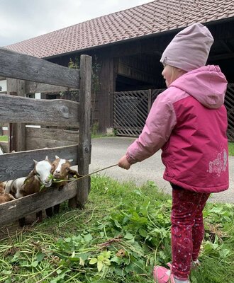 A family-friendly farmhouse experience where young guests can feed the cute goats in their wooden enclosure.