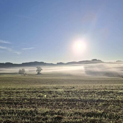 View over the farmhouse fields with morning mist and rising sun.