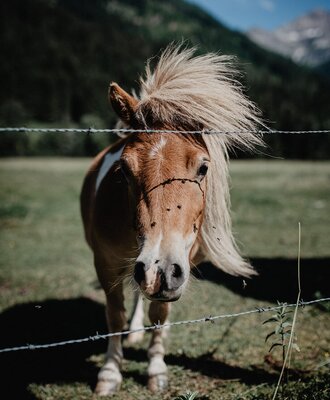 copyright Miss Freckles Photography