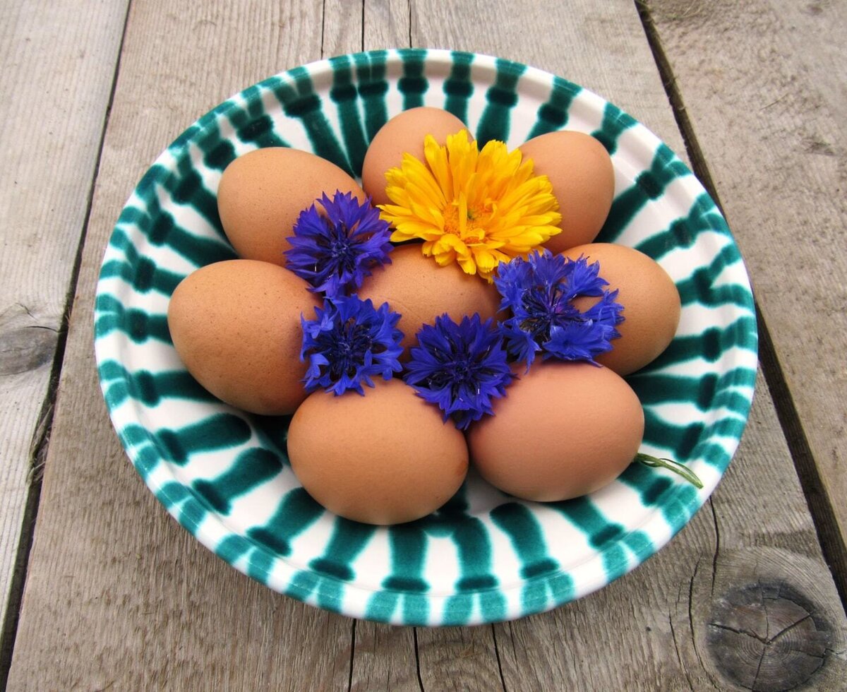 Daily fresh eggs from our hens at farm Brandgut