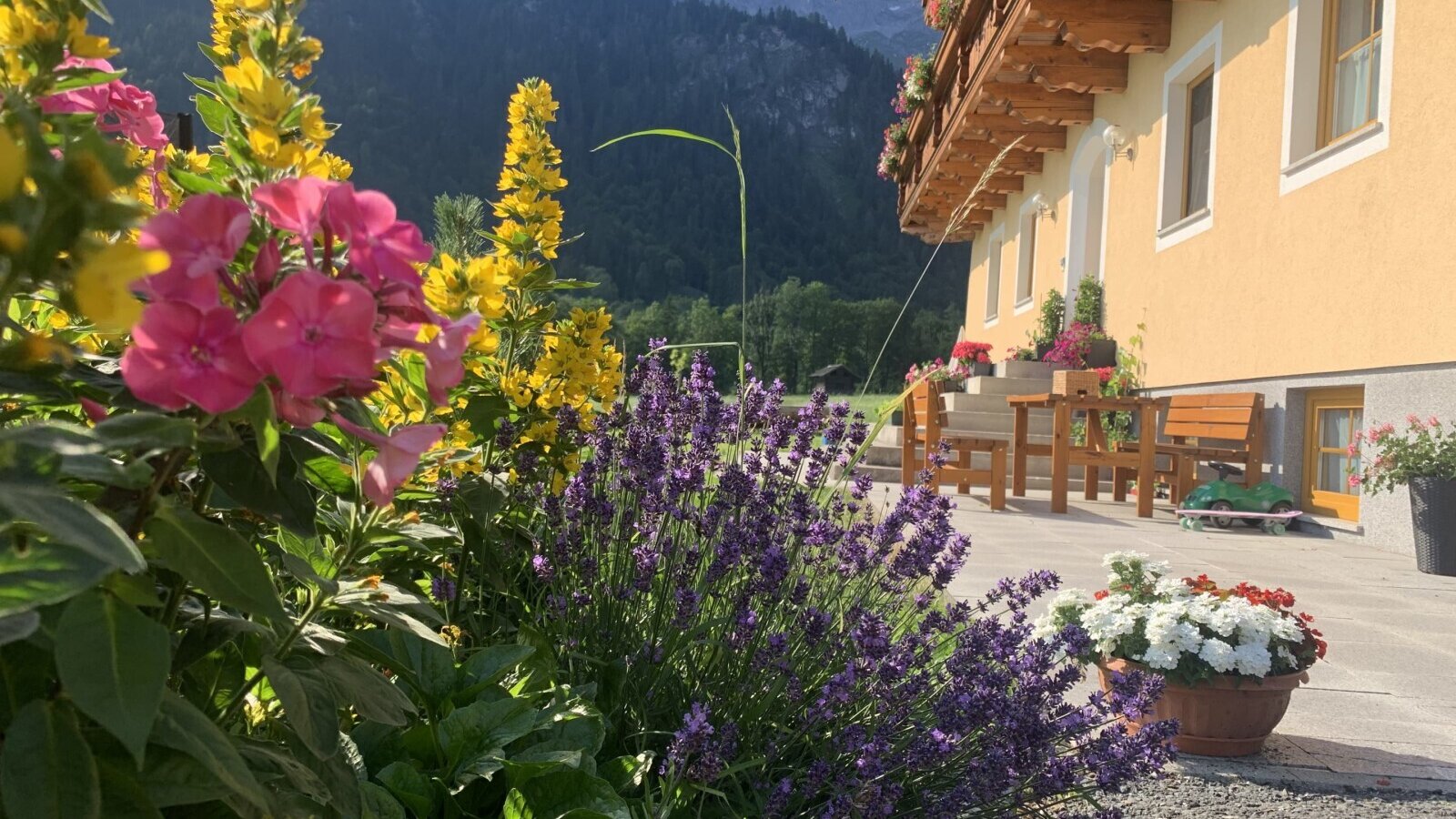 Garden terrace and sunbathing lawn in front of the apartment building