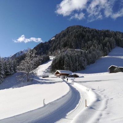 The Alpen-Chalet Rauris nestled in an idyllic, snow-covered winter landscape under a clear blue sky.