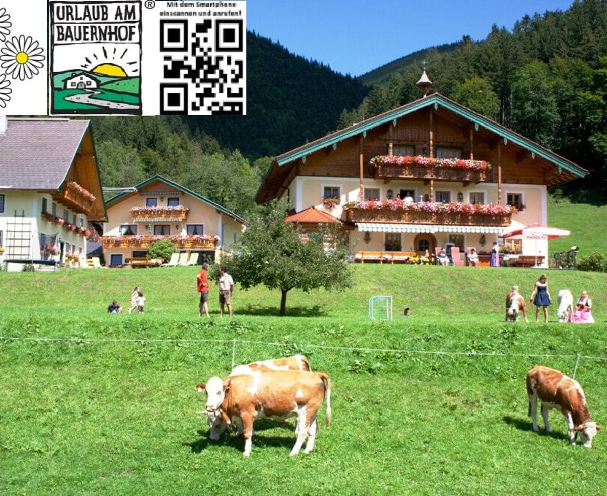 Welcome picture Blacksmith farm