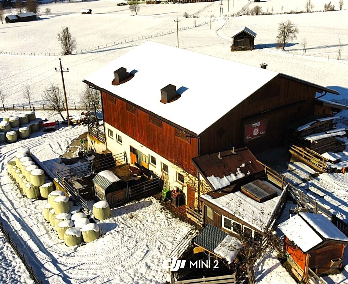 The farmhouse in winter, surrounded by snowy fields.