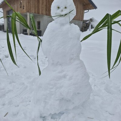 Oscar the snowman