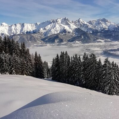 The winter landscape around the Farm House, featuring snow-covered pine forests, a valley, and distant snow-capped mountains.